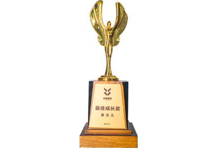 Z6集团公司荣誉