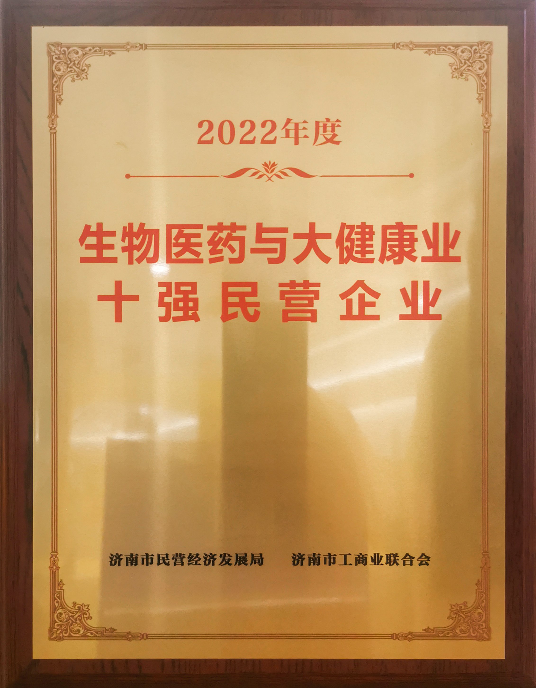 Z6集团公司荣誉