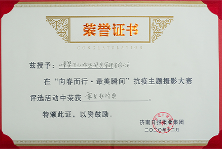 Z6集团公司荣誉