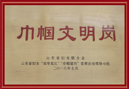 Z6集团公司荣誉